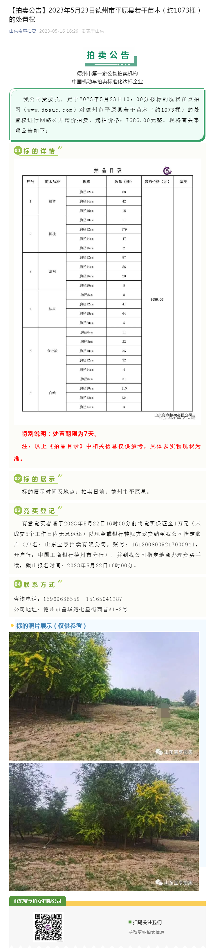 【拍卖公告】2023年5月23日德州市平原县若干苗木（约1073棵）的处置权副本.png